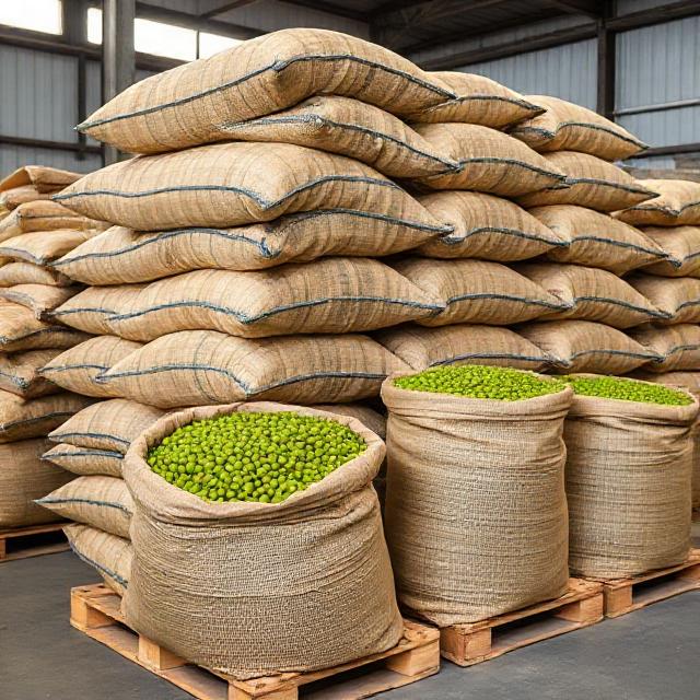 Green coffee in jute sacks on pallets